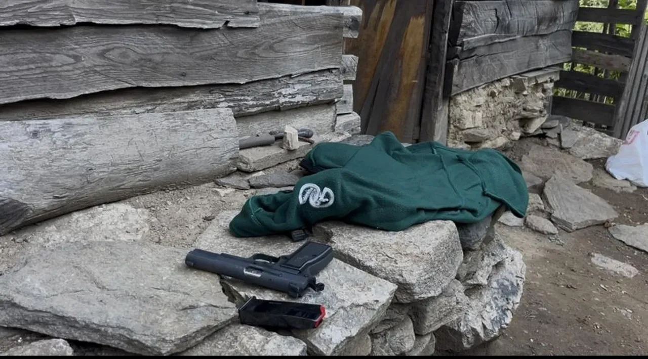 Hem suçlu hem güçlüler! Kestane toplamak için gittiler kan akıttılar!