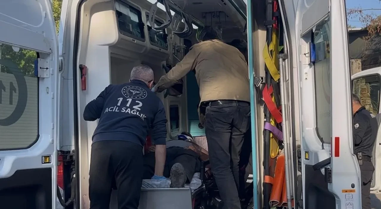 Hem suçlu hem güçlüler! Kestane toplamak için gittiler kan akıttılar!