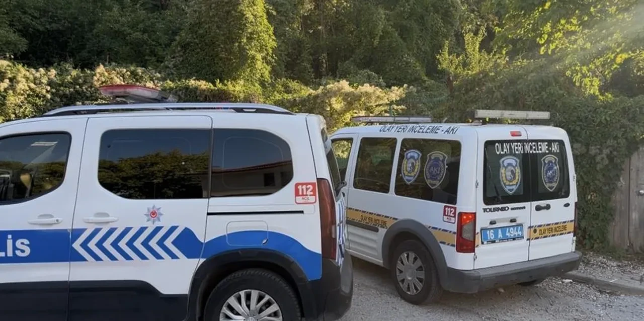 Hem suçlu hem güçlüler! Kestane toplamak için gittiler kan akıttılar!