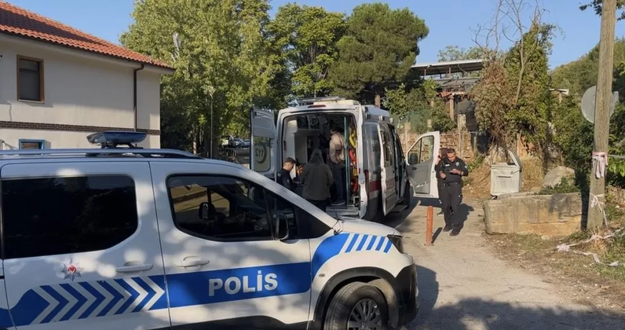 Hem suçlu hem güçlüler! Kestane toplamak için gittiler kan akıttılar!