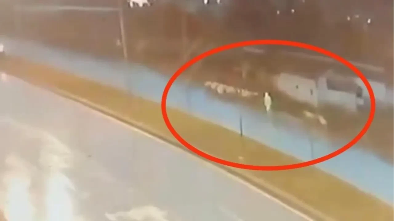 Koyunlarını otlatmaya çıkardı! Acı kazada yaşlı çoban feci şekilde can verdi