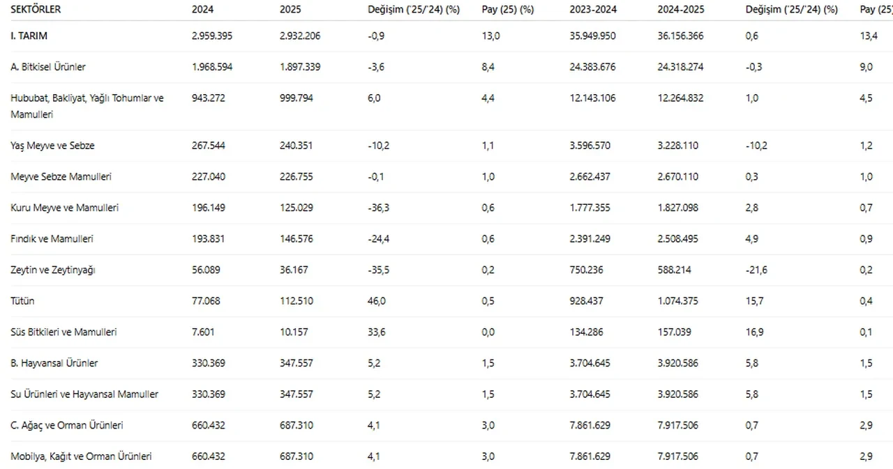 TİM açıkladı: İşte ihracatta ipi göğüsleyen sektör