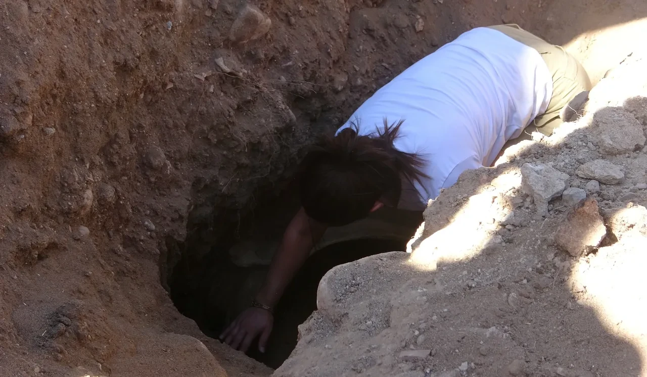 Türkiye'de ilk! Balinanın iskeleti gün yüzüne çıkarılıyor