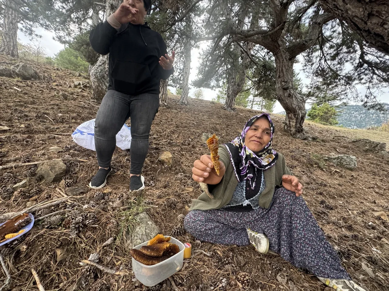Dağ taş geziyorlar, firari arılardan geçiniyorlar! Fiyatı dudak uçuklatıyor