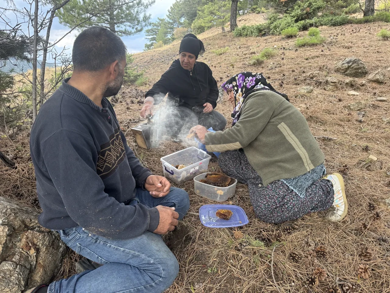 Dağ taş geziyorlar, firari arılardan geçiniyorlar! Fiyatı dudak uçuklatıyor