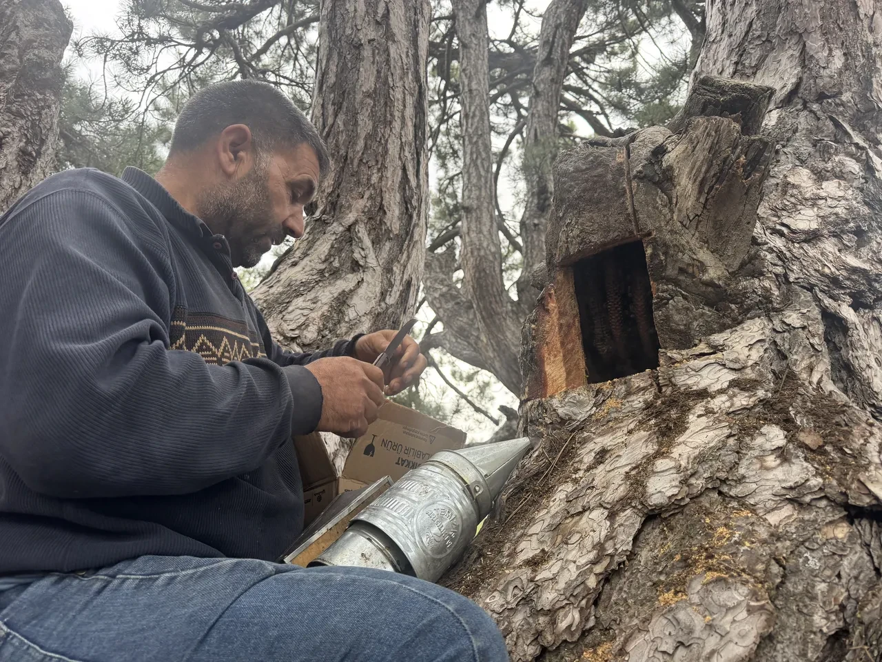 Dağ taş geziyorlar, firari arılardan geçiniyorlar! Fiyatı dudak uçuklatıyor