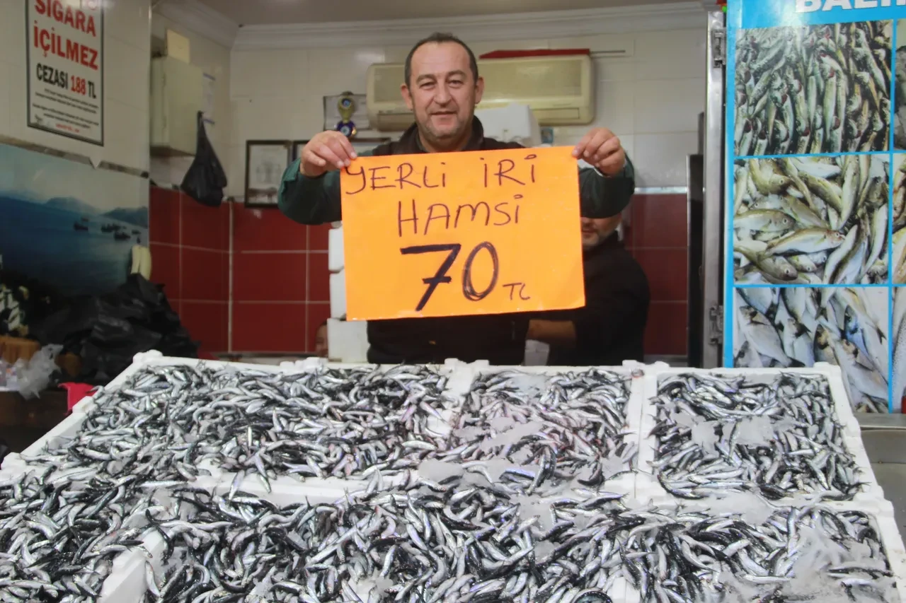 Düşen hamsi fiyatları vatandaşı sevindirdi! "Çiğ çiğ yedim"