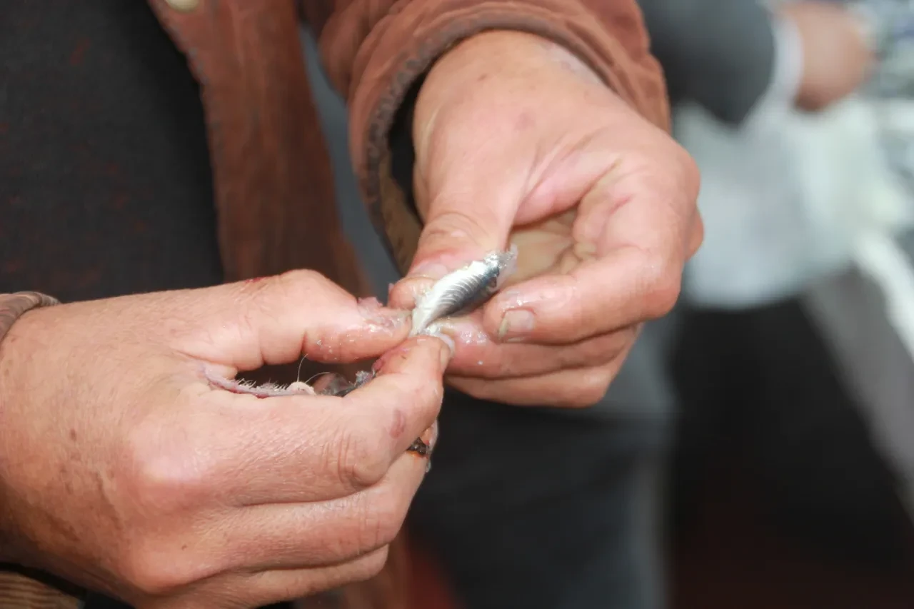 Düşen hamsi fiyatları vatandaşı sevindirdi! "Çiğ çiğ yedim"