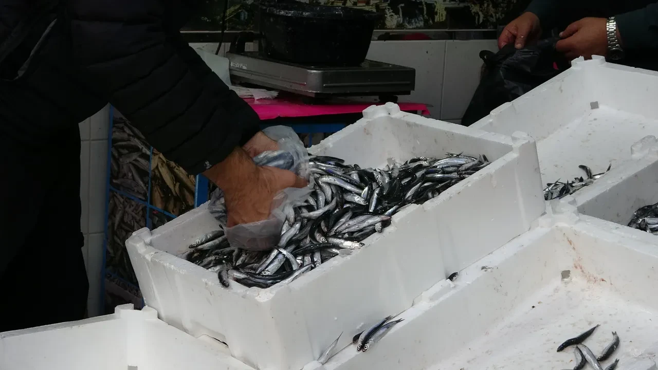 Düşen hamsi fiyatları vatandaşı sevindirdi! "Çiğ çiğ yedim"