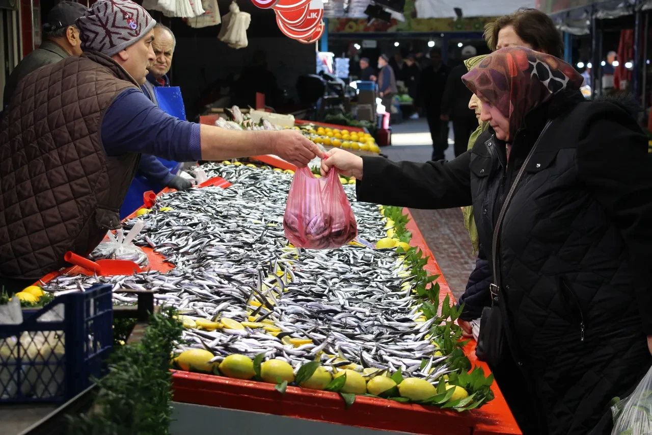Hamsi son 10 yılın rekorunu kırdı! 