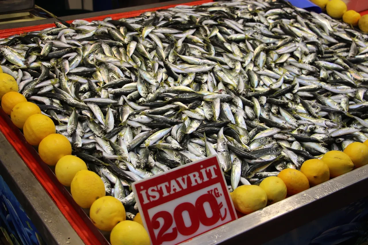 Hamsi son 10 yılın rekorunu kırdı! 