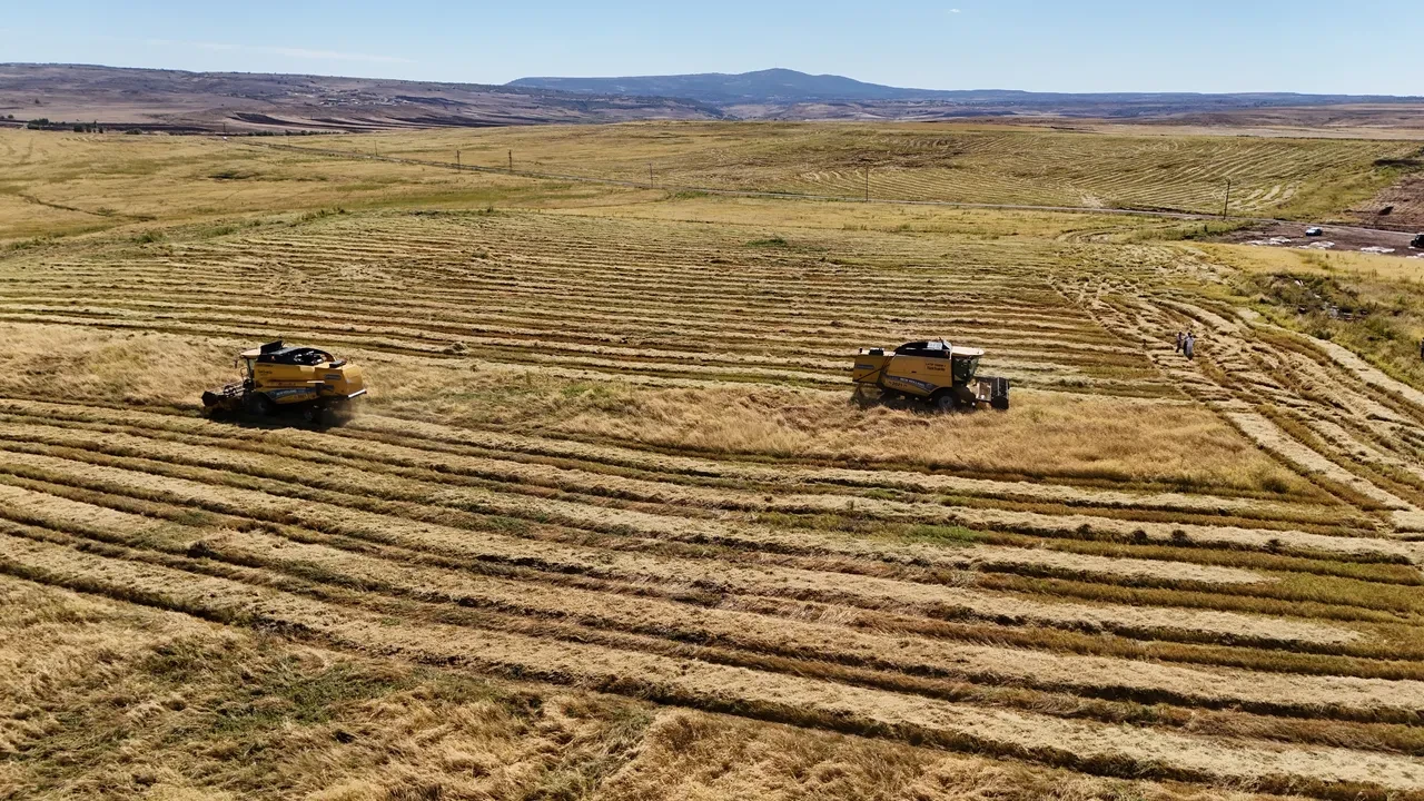 Kentsel Dönüşüm Başkanlığı bu taşınmazları satışa çıkarıyor