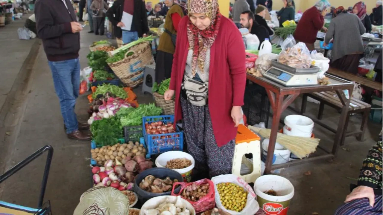 Ormandan kova kova topladılar! Pazarda kilosu 400 liradan satılıyor