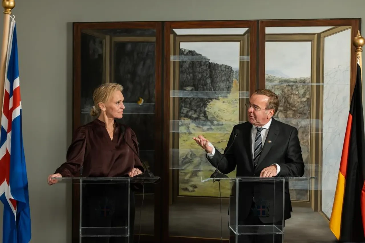 Rusya tehdidine karşı Almanya, İzlanda'da askeri üs kuruyor