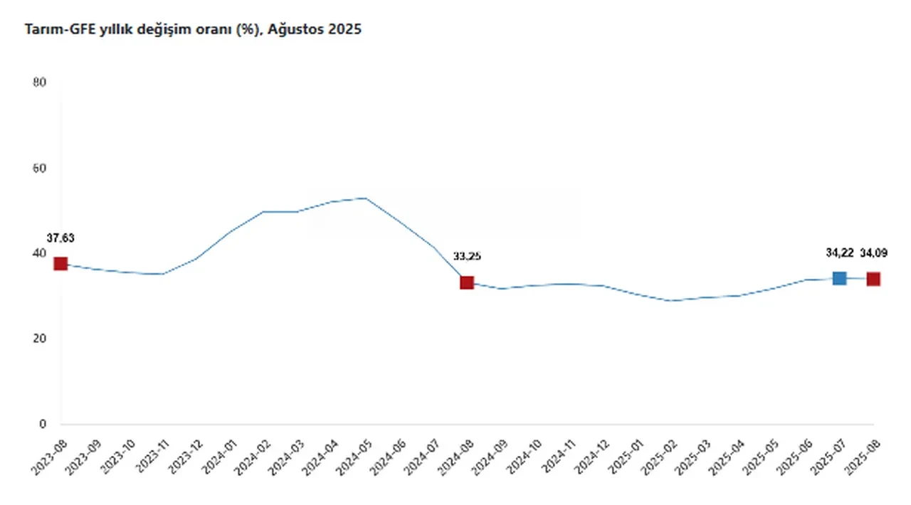 TÜİK açıkladı: Tarımsal girdi aylık ve yıllık arttı