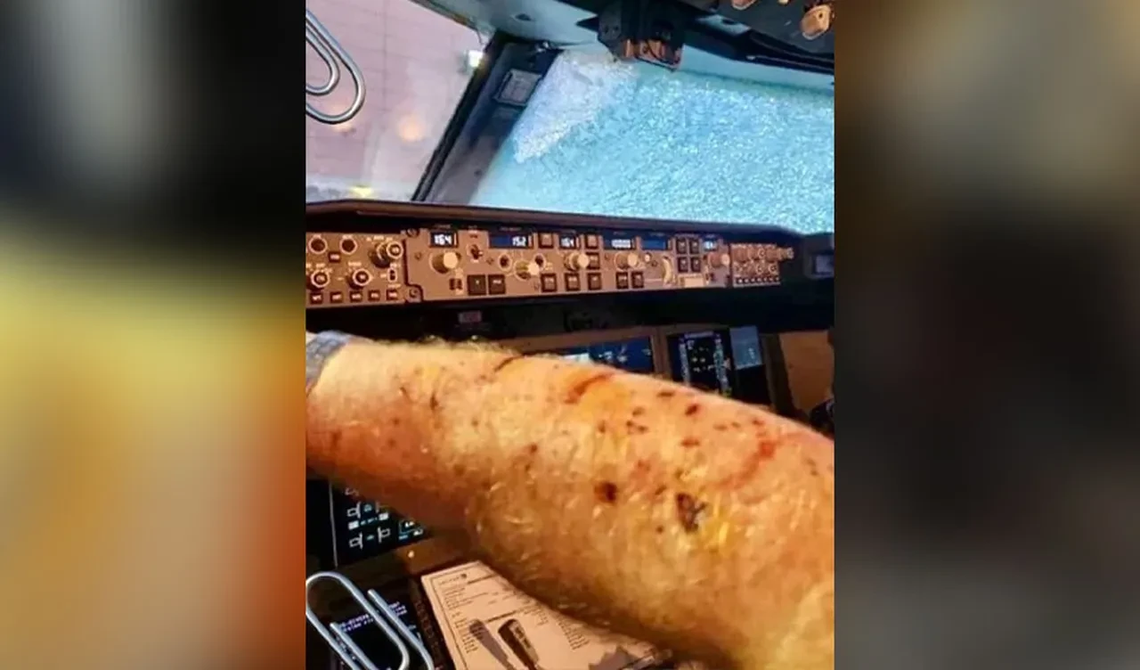 Yolcu uçağına meteor çarptı! Pilot kanlar içinde kaldı