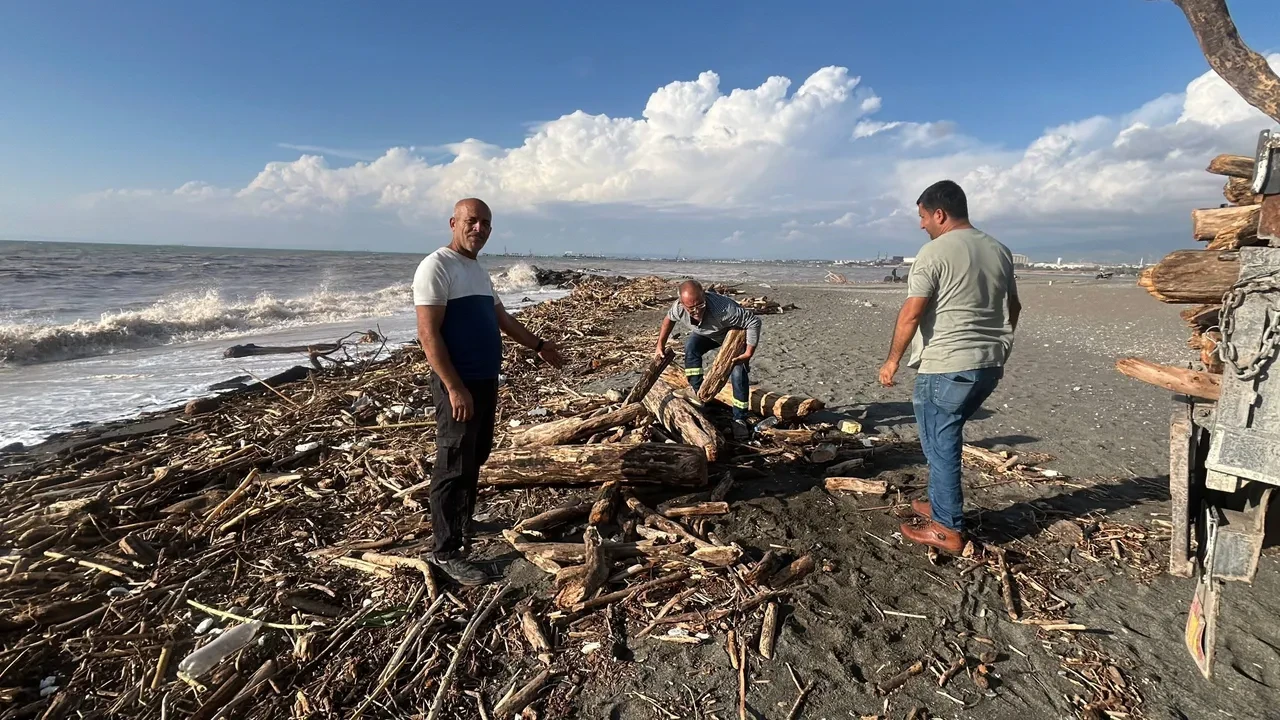 Akdeniz’de kıyı kütüklerle kaplandı! Akıl almaz görüntüler hayrete düşürdü