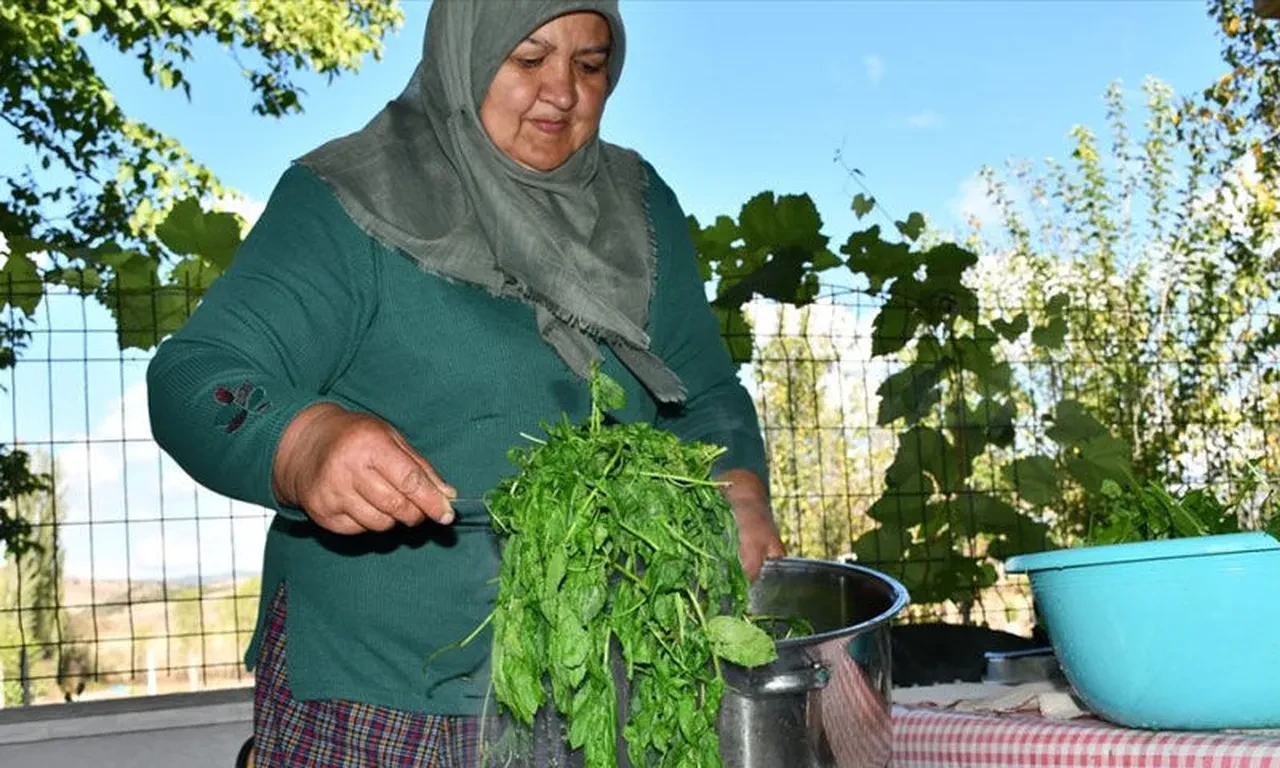 Doğal ve şifalı! İşte yeşil pekmezin sırrı: Kapış kapış gidiyor