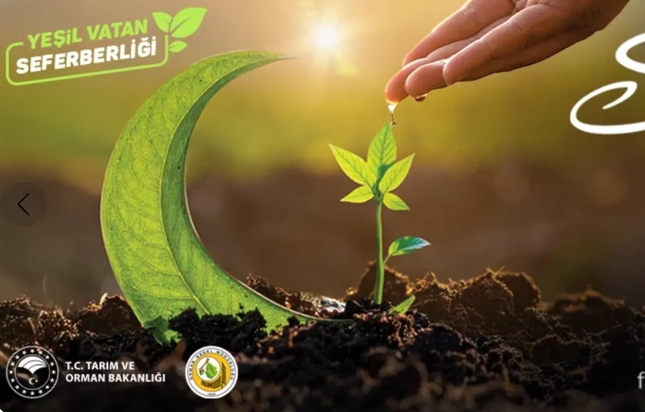 Geleceğe Nefes fidan sahiplenme nereden nasıl yapılır? 11 Kasım Milli Ağaçlandırma Günü