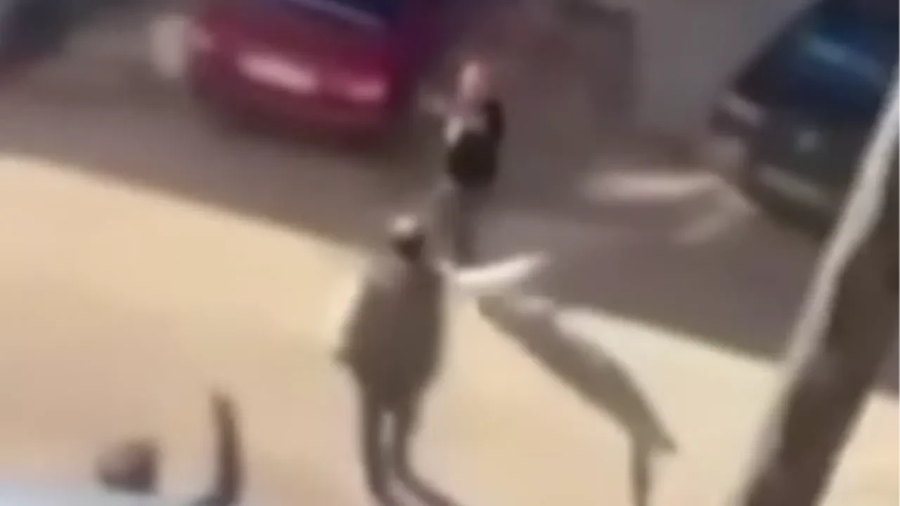 İftiraya uğradı gözü döndü! Tüfekle dehşet saçtı