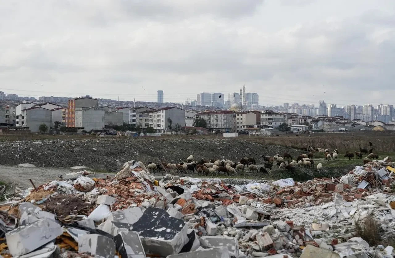 İstanbul'da mide bulandıran görüntü! Dereden adeta zift akıyor