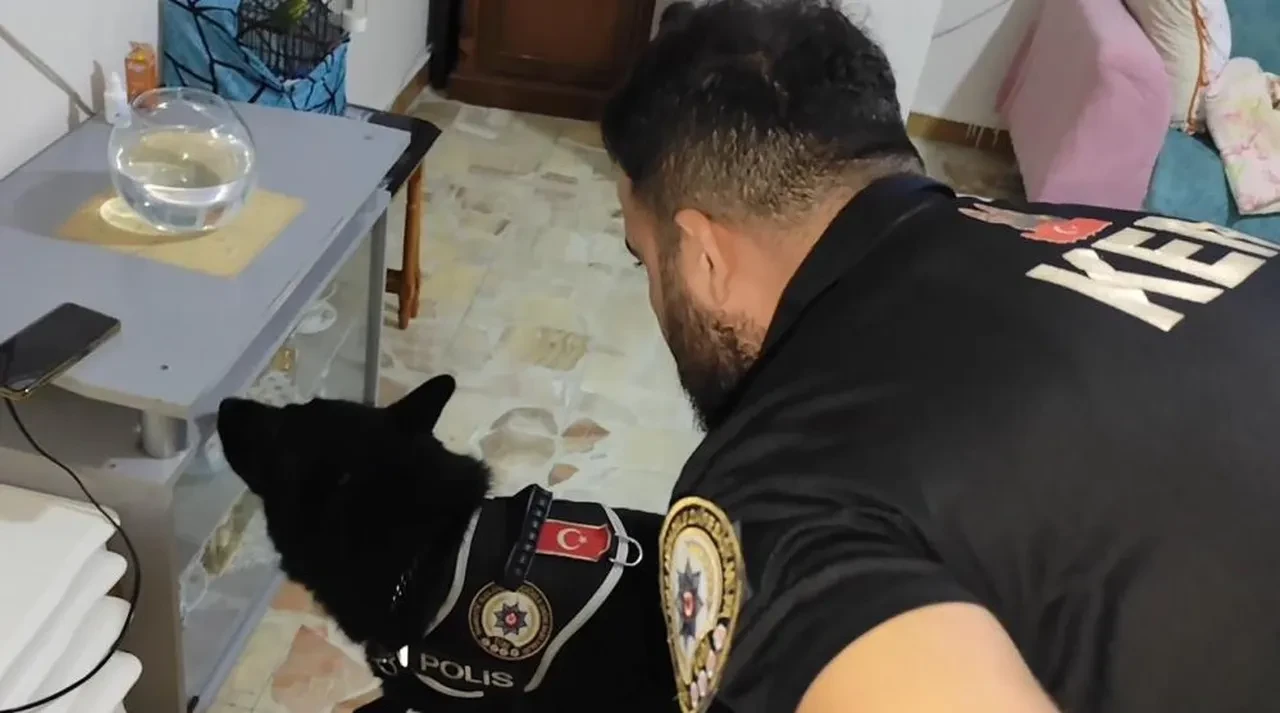 Mersin merkezli 10 ilde dev operasyon! 3 çete çökertildi: Çok sayıda gözaltı var