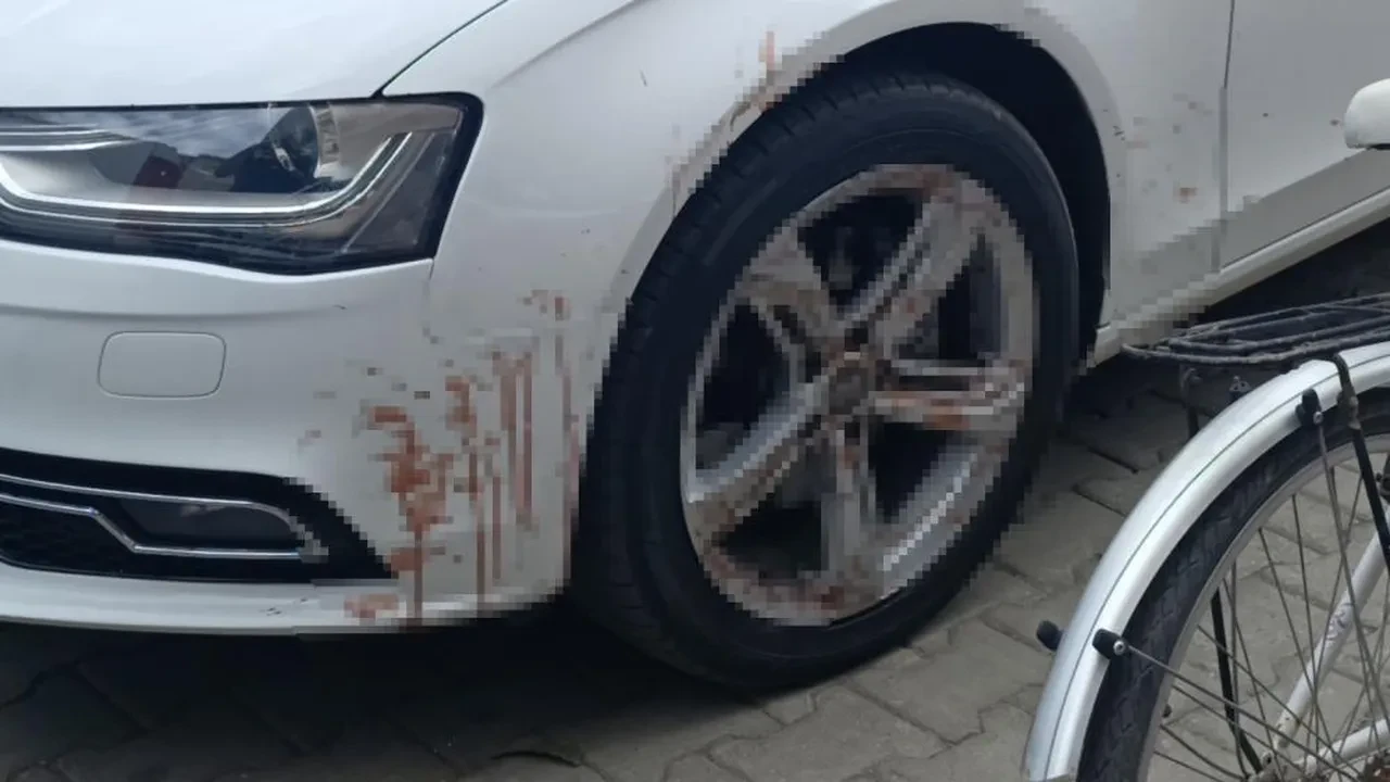 Yeni aldığı aracı için adak kesti başına gelmeyen kalmadı!