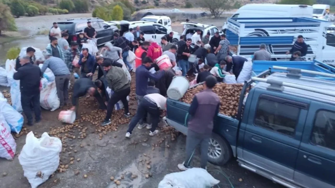 Bedava patatese hücum! 