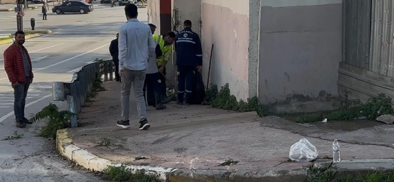 Cenaze töreninden dönüyorlardı! 3'ü polis 7 kişi yaralandı
