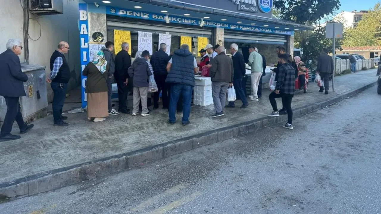 Hamsi'nin fiyatı 25 TL'ye düştü! Vatandaş sıraya girdi 