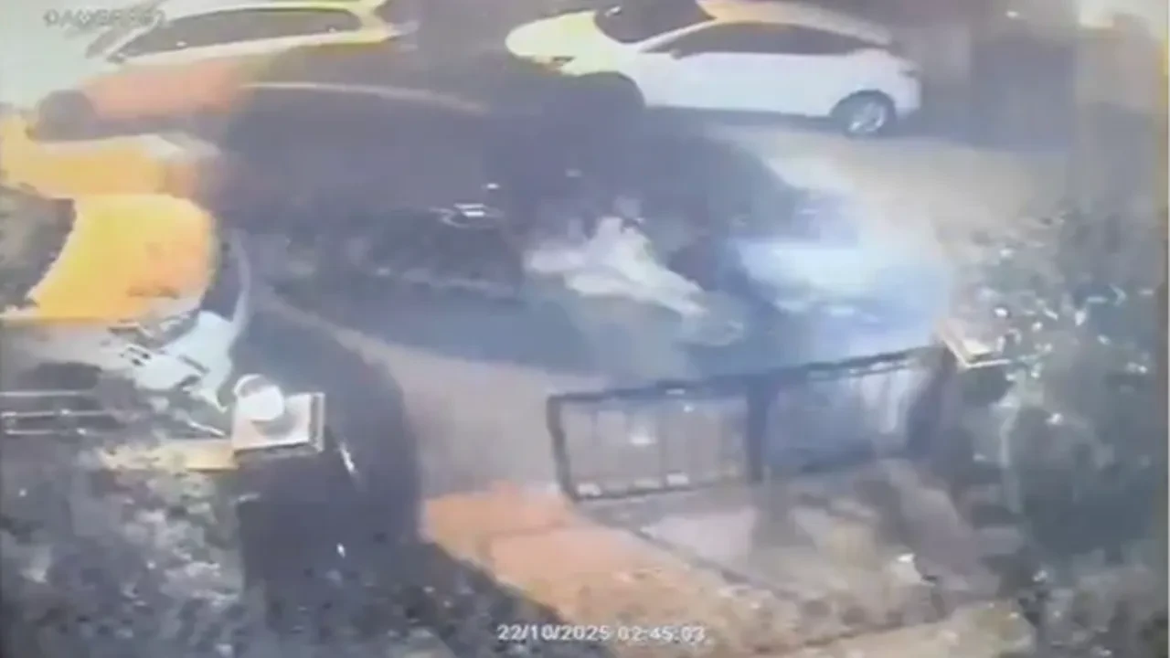 İstanbul'da vahşet anları kamerada! Önce kediyi ezdi sonra genci katletti