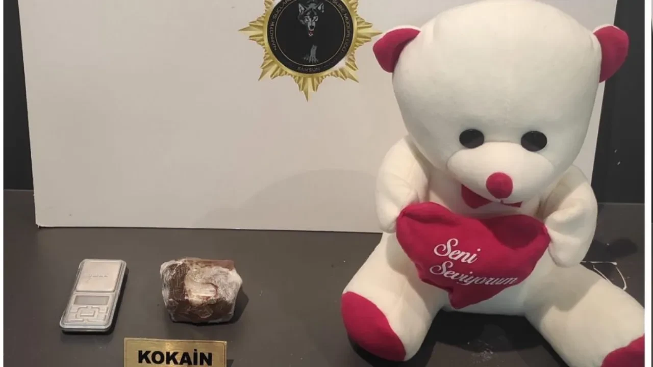 Oyuncak ayının içinden kokain çıktı! Şüpheli gözaltında