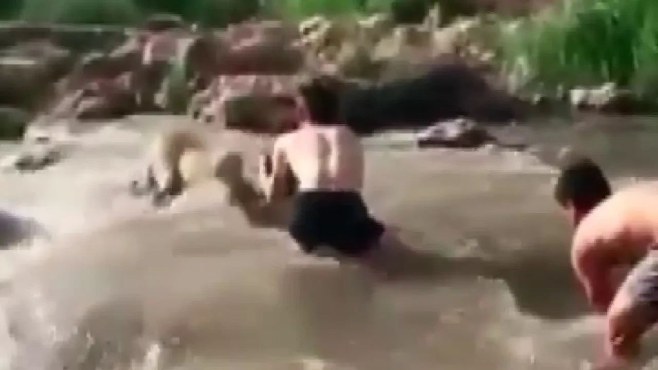 Soğuk su, sıcak kalpler! Irmağın ortasında kalan anne köpeği kurtardılar