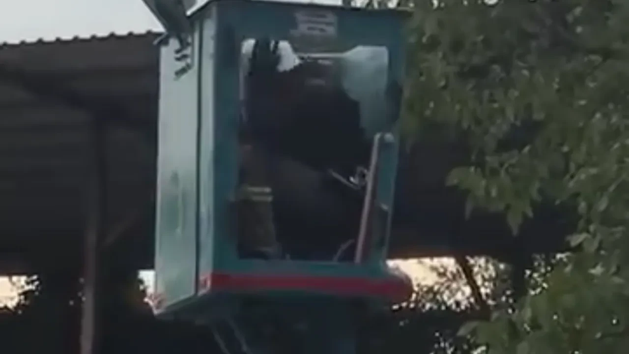 Bursa'da beklenmedik saldırı! Panik anları kamerada