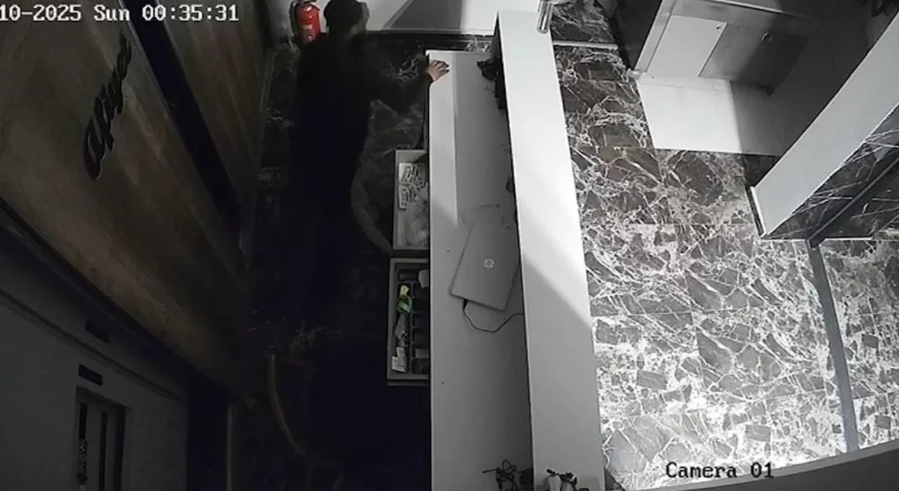 Bütün ilçeyi canından bezdirdi! El feneriyle köşe bucak aranıyor