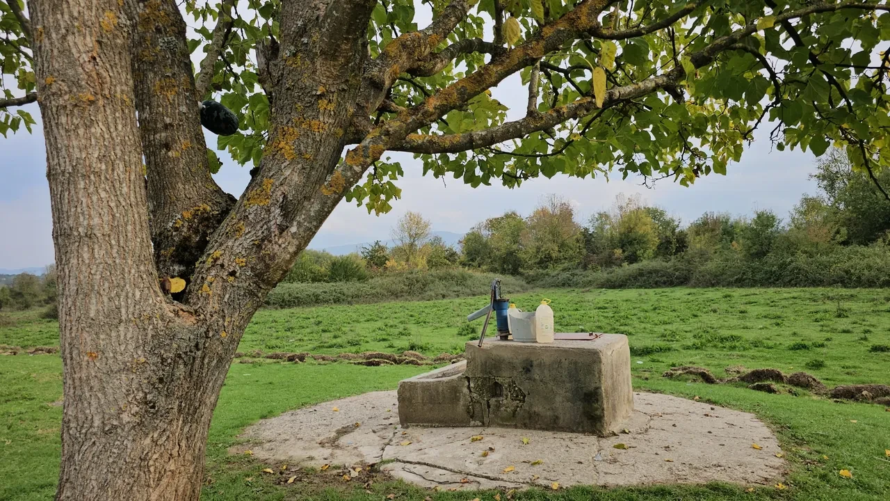 Hasret Akkuzu cinayetinde yeni gelişme! Ağabeyi ve yengesi de tutuklandı
