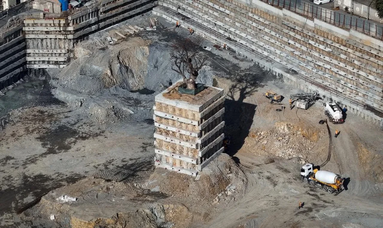 İstanbul'da şaşkına çeviren görüntü! Milyarlık projede tek o ağaç kurtuldu