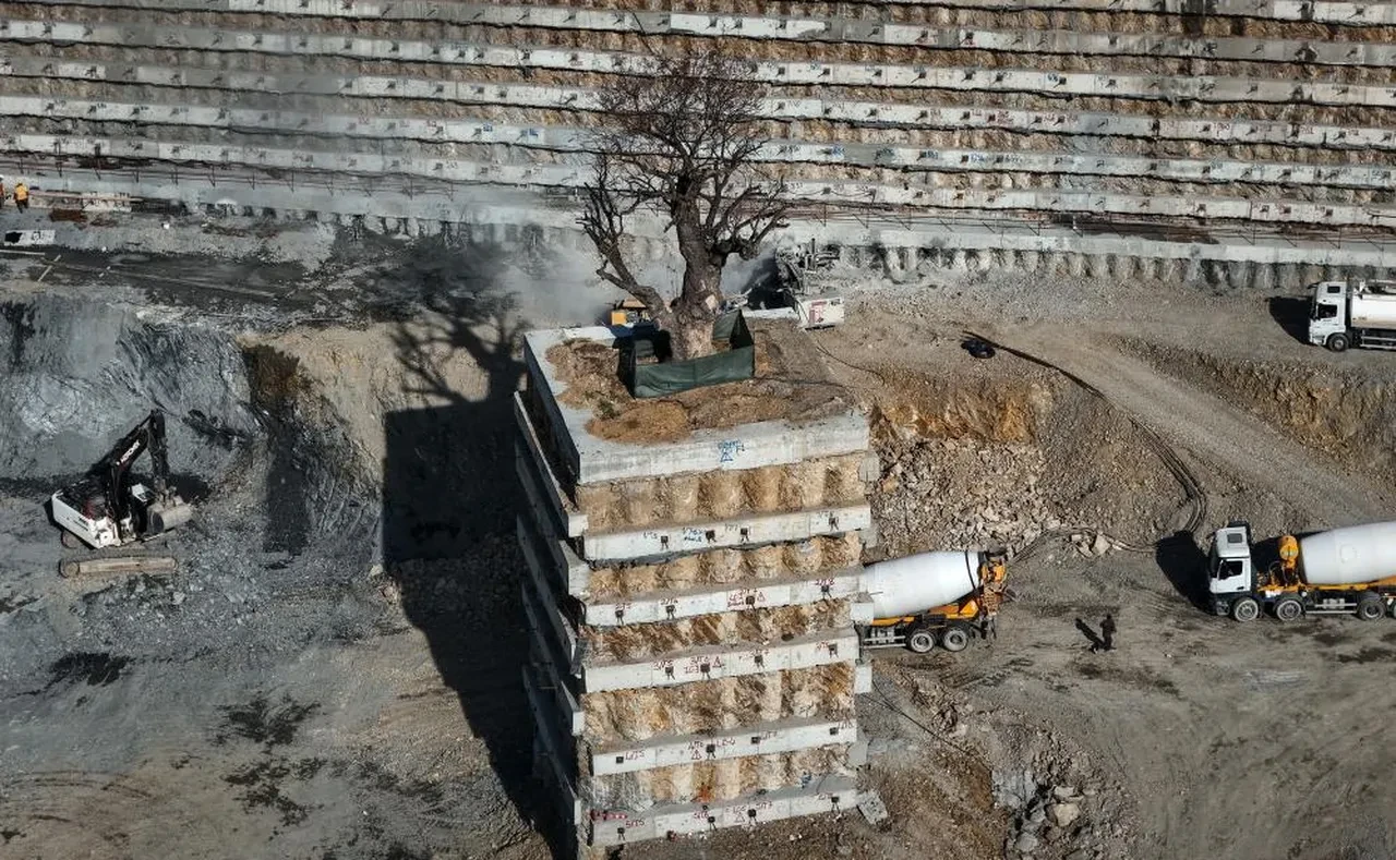İstanbul'da şaşkına çeviren görüntü! Milyarlık projede tek o ağaç kurtuldu