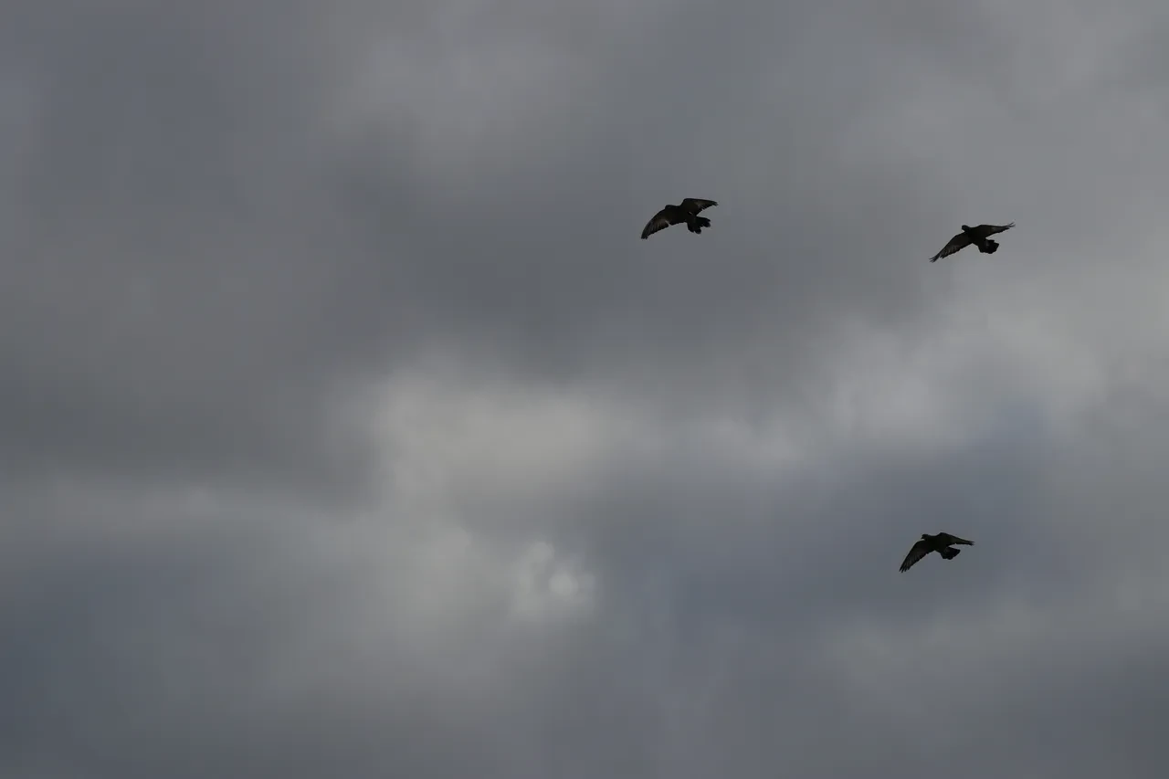Sivas'a yurt dışından sipariş yağıyor! Değeri yarım milyondan fazla, dört nesilden geliyor