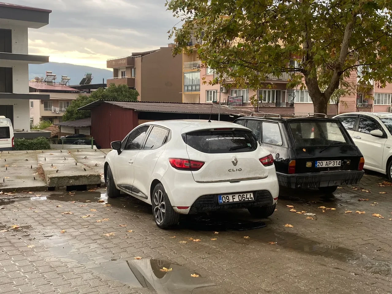 Torunu için kendini feda etti: 4 yaşındaki çocuk için bir an gözünü kırpmadı