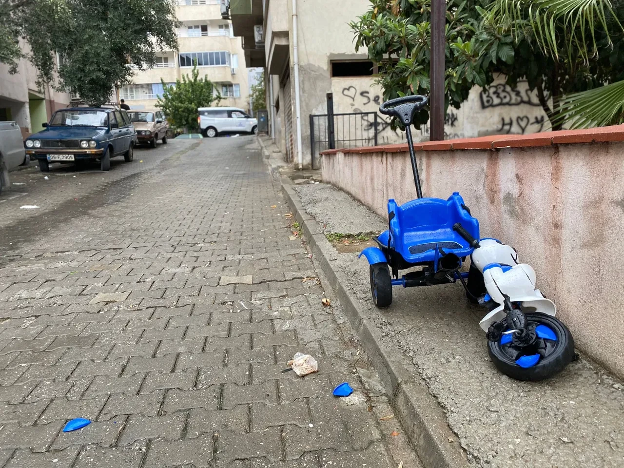 Torunu için kendini feda etti: 4 yaşındaki çocuk için bir an gözünü kırpmadı