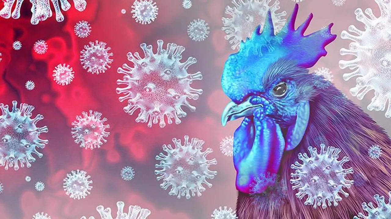 Almanya'da kuş gribi alarmı! Vakalardaki artış korkunç boyutlarda