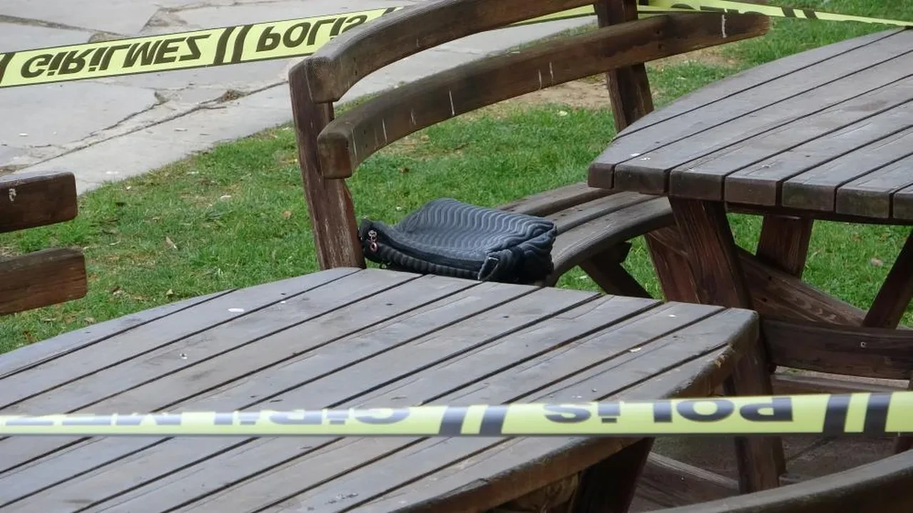 Piknik alan ında kan donduran olay! Cansız bedeni öğrenciler buldu
