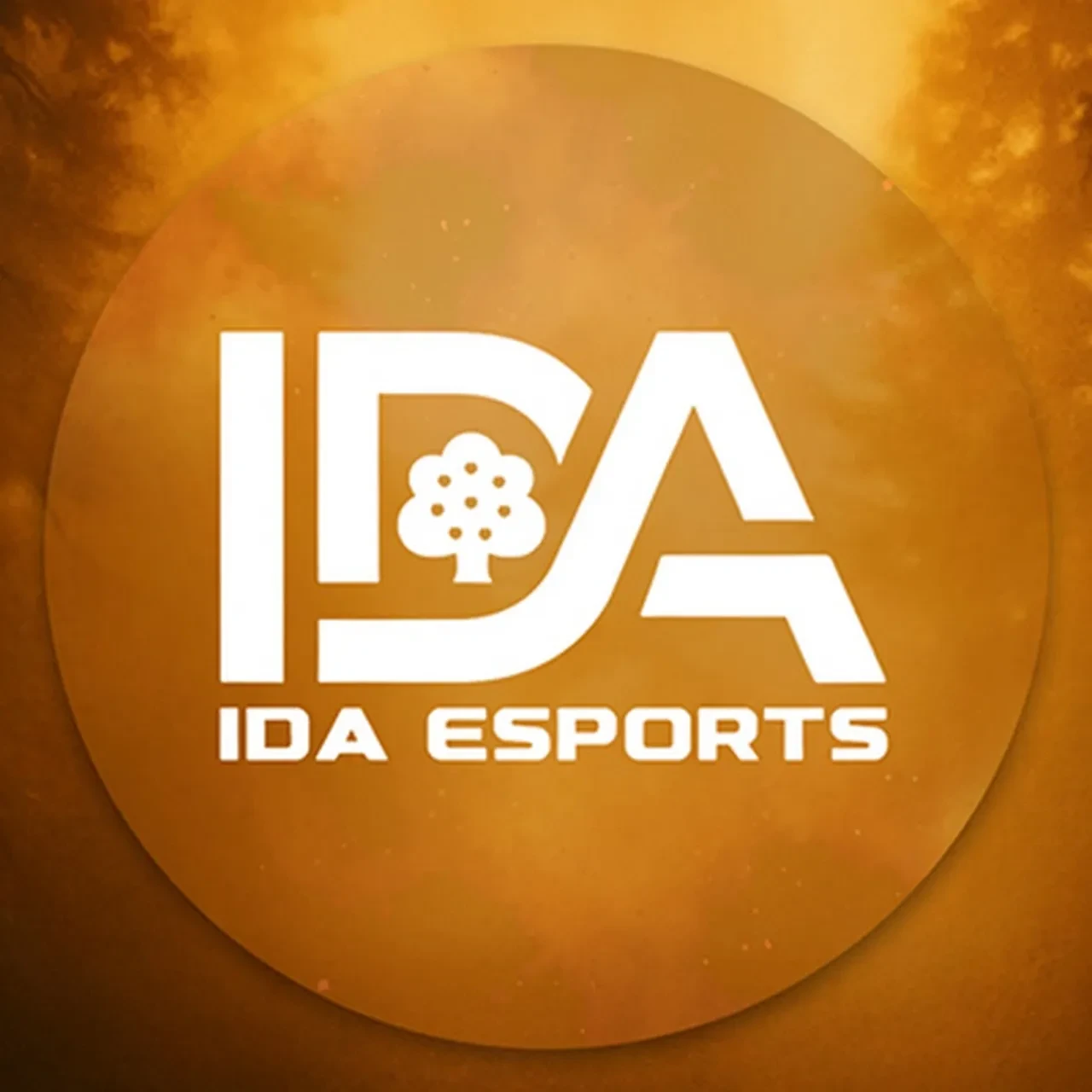 PUBG Mobile Avrupa Süper Ligi sonbahar finalleri İstanbul'da başladı! IDA E-Sports sahnede yerini aldı