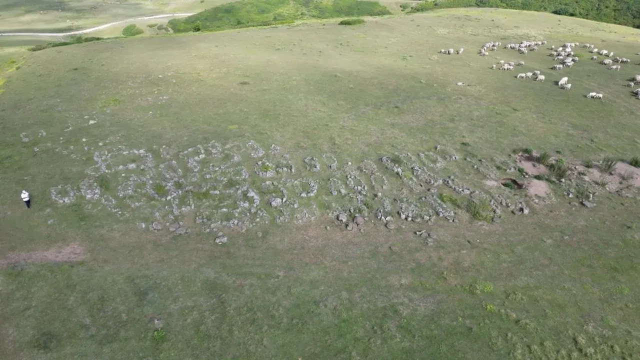 Tuz taşı olarak keçilere yalatılıyordu! 'Kanlı gerçek' bambaşka çıktı