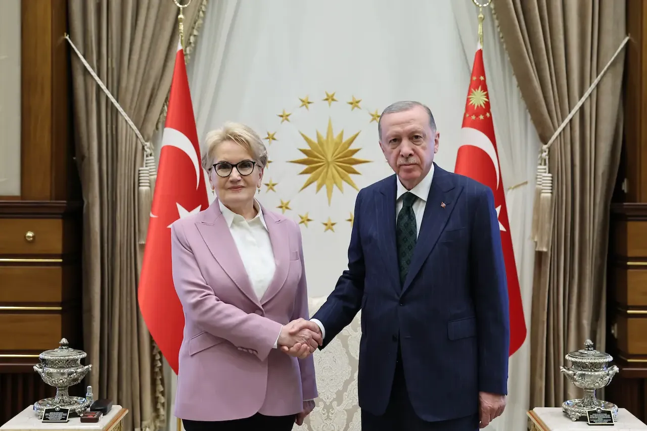 Meral Akşener sessizliğini bozdu! 'Siyasette yokum' deyip, inzivaya çekilmişti
