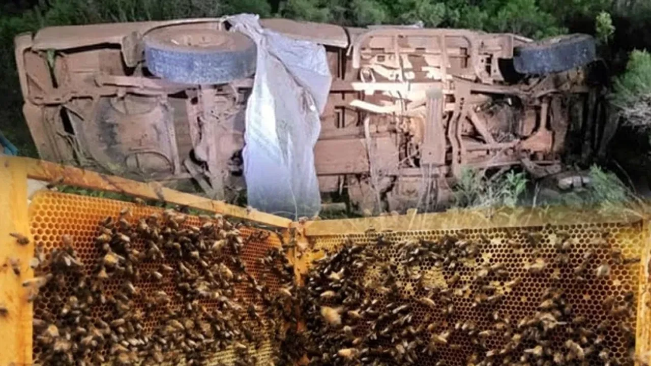 Araçla arı kovanlarına çarptı, yardıma gelen babası da hayatını kaybetti!