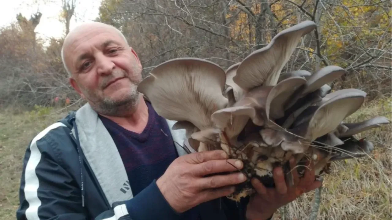Kanlıca Mantarı vatandaşların ilgi odağı oldu