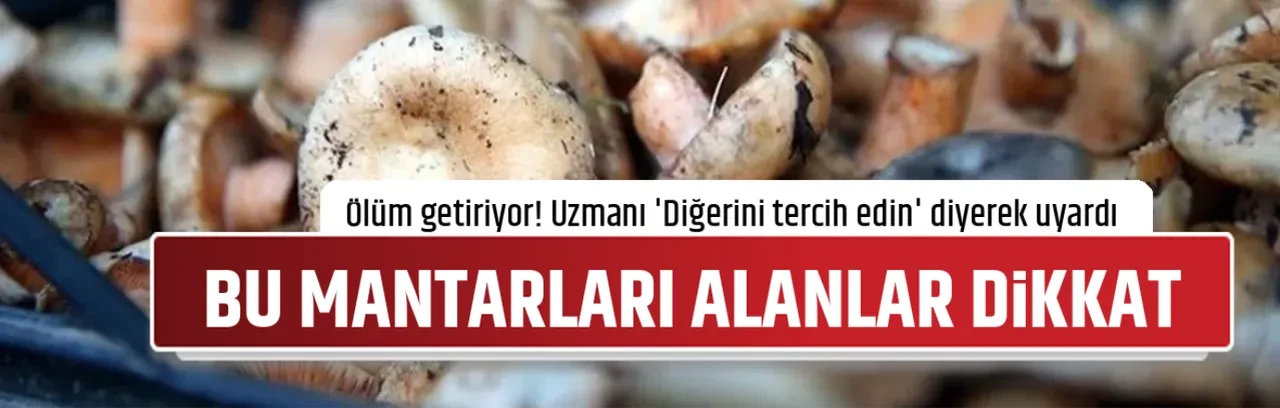 BU MANTARLARI ALANLAR DİKKAT
