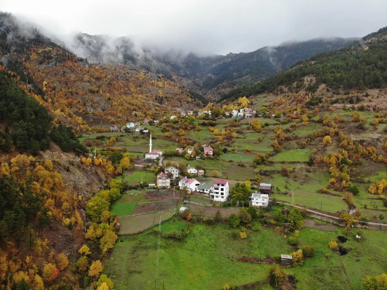 Şırası ve kokusuyla en iyisi: Siyah sarımsak tescili için başvuru yapıldı